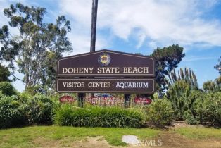Condominium, 876 Doheny way, Dana Point, CA 92629 - 41
