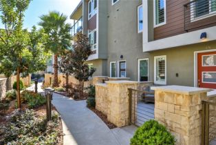 Condominium, 876 Doheny way, Dana Point, CA 92629 - 5