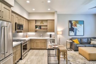 Condominium, 876 Doheny Way, Dana Point, CA  Dana Point, CA 92629