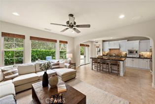 Single Family Residence, 21 Corte Lomas Verdes, San Clemente, CA 92673 - 15