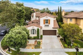 Single Family Residence, 21 Corte Lomas Verdes, San Clemente, CA 92673 - 45