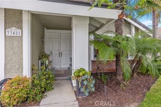 Single Family Residence, 33421 Stern Wave pl, Dana Point, CA 92629 - 3
