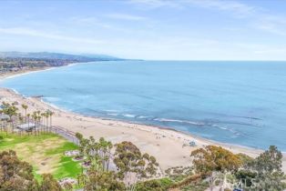 Condominium, 25611 Quail run, Dana Point, CA 92629 - 47