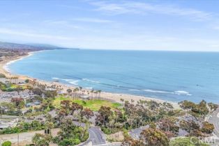 Condominium, 25611 Quail run, Dana Point, CA 92629 - 49