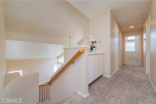 Single Family Residence, 13090 Red Corral dr, Corona, CA 92883 - 19