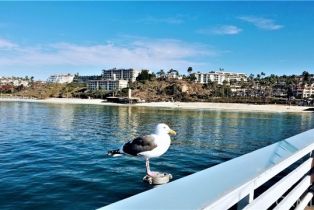 Single Family Residence, 40 Paseo Alba, San Clemente, CA 92672 - 28