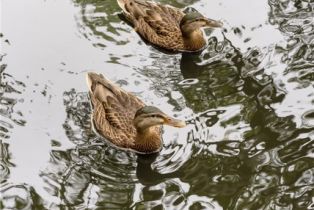 Condominium, 20331 Bluffside, Huntington Beach, CA 92646 - 25