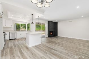 Single Family Residence, 33262 Sea Bright dr, Dana Point, CA 92629 - 8