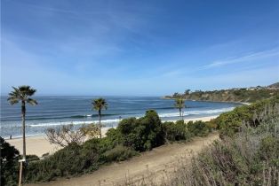 Condominium, 25611 Quail run, Dana Point, CA 92629 - 46