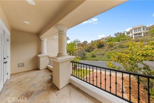 Single Family Residence, 2 Cresta Del Sol, San Clemente, CA 92673 - 52