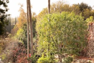 Single Family Residence, 790 Huntington cir, Pasadena, CA 91106 - 6