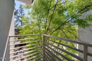 Condominium, 239 Marengo ave, Pasadena, CA 91101 - 24