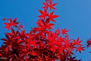 Single Family Residence, 423 Lakeview rd, Pasadena, CA 91105 - 46