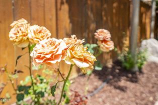 Single Family Residence, 40197 Gallatin ct, Temecula, CA 92591 - 45