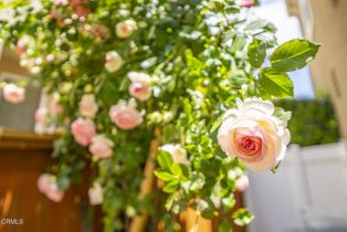 Single Family Residence, 40197 Gallatin ct, Temecula, CA 92591 - 46