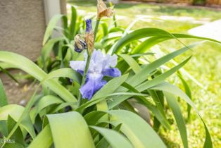 Single Family Residence, 40197 Gallatin ct, Temecula, CA 92591 - 47