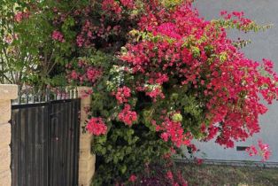 Single Family Residence, 1024 Laguna ter, Fullerton, CA 92835 - 3