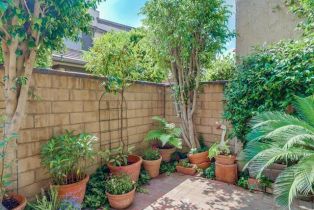 Condominium, 441 Fairview ave, Arcadia , CA 91007 - 30