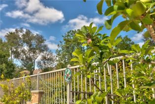 Single Family Residence, 32000 Corte Sagunto, Temecula, CA 92592 - 42