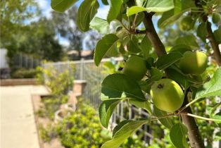 Single Family Residence, 32000 Corte Sagunto, Temecula, CA 92592 - 43