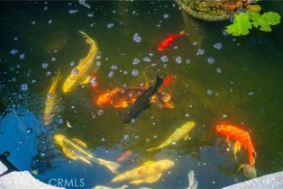 Single Family Residence, 3417 Avondale rd, Pasadena, CA 91107 - 53