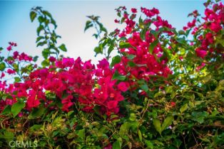 Single Family Residence, 3417 Avondale rd, Pasadena, CA 91107 - 54