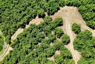 , 0 La Cruz dr, Temecula, CA 92590 - 33