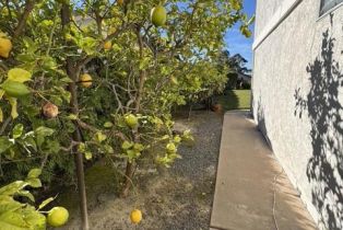 Single Family Residence, 743 San Mario dr, Solana Beach, CA 92075 - 35