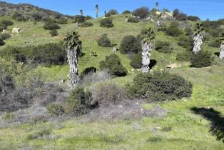 , 21722 Carancho rd, Temecula, CA 92590 - 12