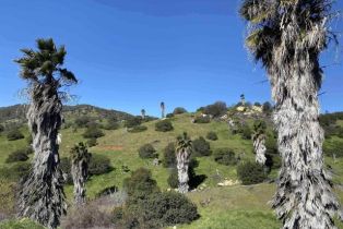 , 21722 Carancho rd, Temecula, CA 92590 - 7