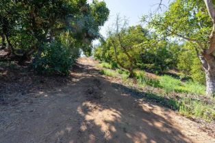 , 0 Wilt Road, Fallbrook, CA 92028 - 11