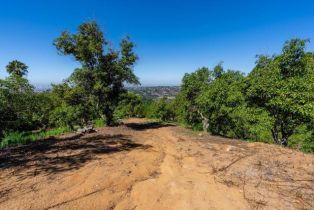 , 0 Wilt Road, Fallbrook, CA 92028 - 12