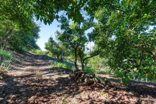 , 0 Wilt Road, Fallbrook, CA 92028 - 14