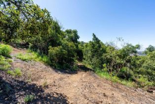 , 0 Wilt Road, Fallbrook, CA 92028 - 16