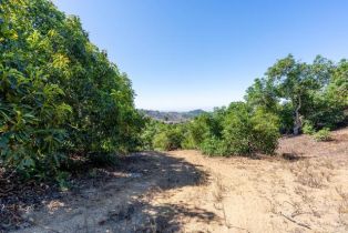 , 0 Wilt Road, Fallbrook, CA 92028 - 17
