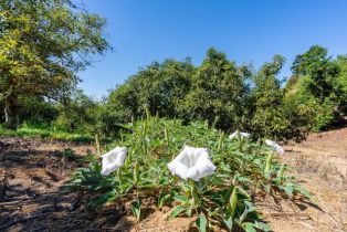 , 0 Wilt Road, Fallbrook, CA 92028 - 18