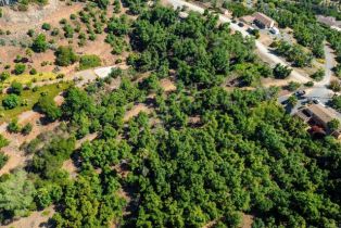 , 0 Wilt Road, Fallbrook, CA 92028 - 29