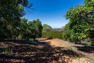 , 0 Wilt Road, Fallbrook, CA 92028 - 5