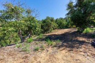 , 0 Wilt Road, Fallbrook, CA 92028 - 6