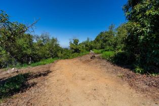 Land, 0 Wilt Road, Fallbrook, CA  Fallbrook, CA 92028