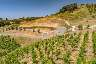 , 44867 Via Horca, Temecula, CA 92590 - 22