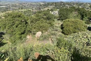 Single Family Residence, 30603 Roadrunner Ridge, Valley Center, CA 92082 - 31