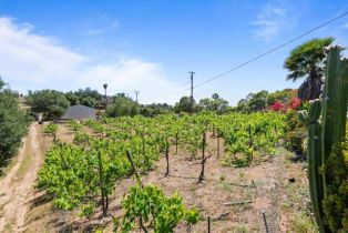 Single Family Residence, 979 Canyon Heights rd, Fallbrook, CA 92028 - 41