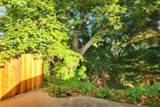 , 3909 Reche rd, Fallbrook, CA 92028 - 11