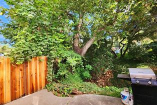 , 3909 Reche rd, Fallbrook, CA 92028 - 12