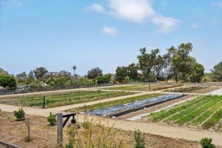 Condominium, 1004 Palmaria ct, Encinitas, CA 92024 - 21