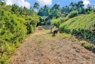 Single Family Residence, 50 Eastfield dr, Rolling Hills, CA 90274 - 62