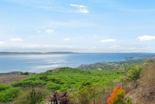 Single Family Residence, 20 Cinchring rd, Rolling Hills, CA 90274 - 2