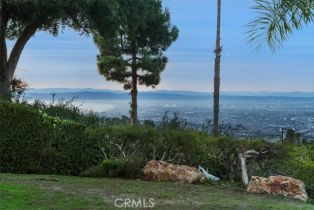 Single Family Residence, 12 Bowie rd, Rolling Hills, CA 90274 - 60