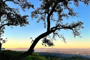 Single Family Residence, 9 Maverick ln, Rolling Hills, CA 90274 - 7